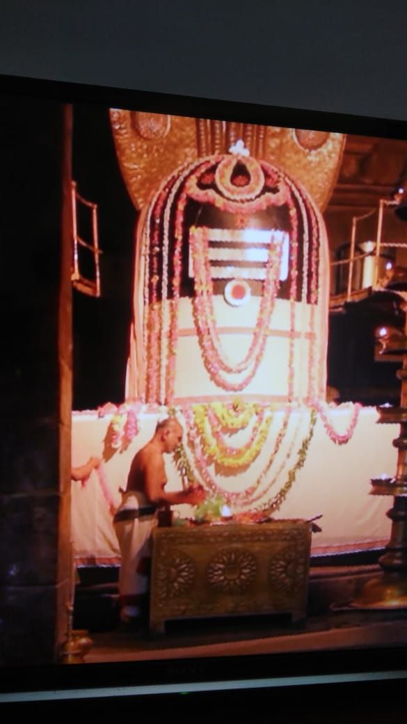 The Shiva lingam
