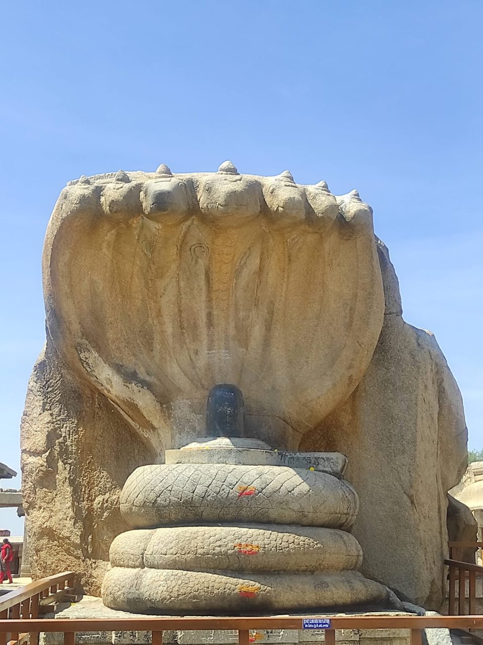 The Nagalinga under its seven-headed serpent